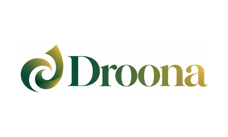 Droona.com is for sale