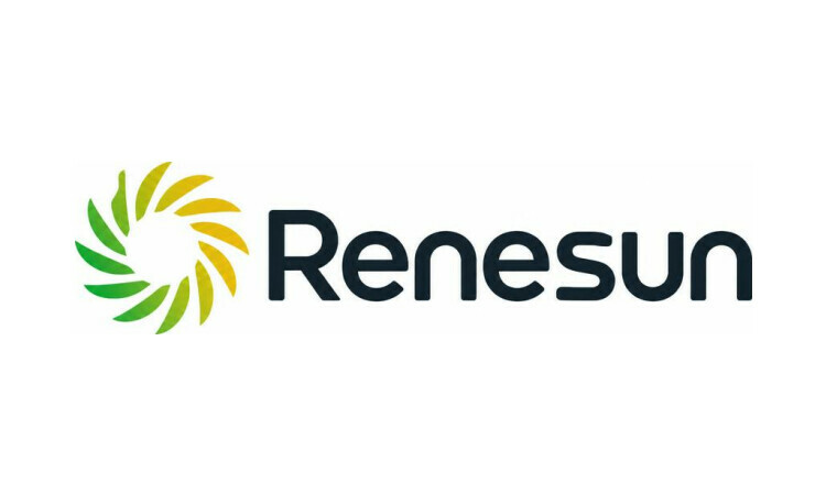 Renesun.com - Best domains for sale