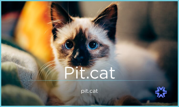 Pit logo