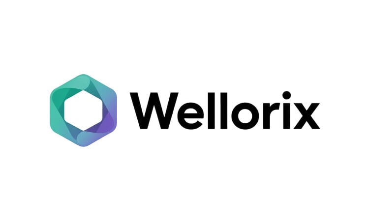 Wellorix logo