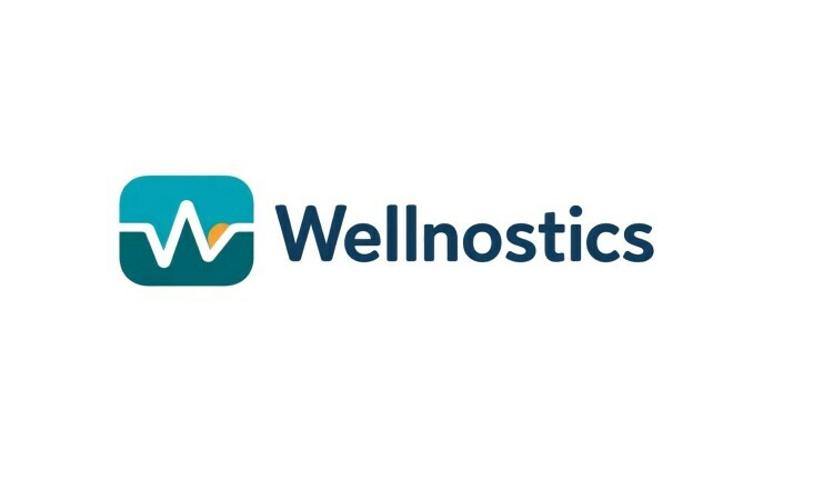Wellnostics.com - Good domains for sale