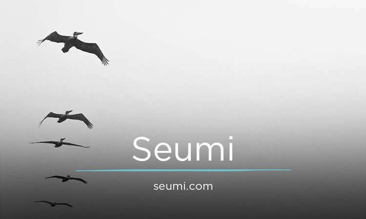 Seumi.com - buy Best premium domains