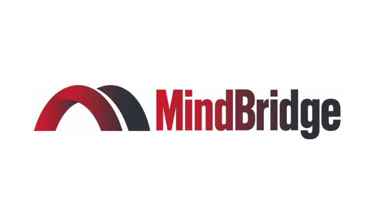 MindBridge.com is for sale