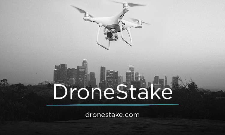 DroneStake.com - Best premium domains