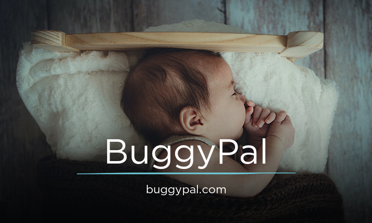 BuggyPal.com - Best premium domains for sale