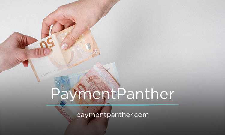 PaymentPanther.com - buy Catchy premium domains