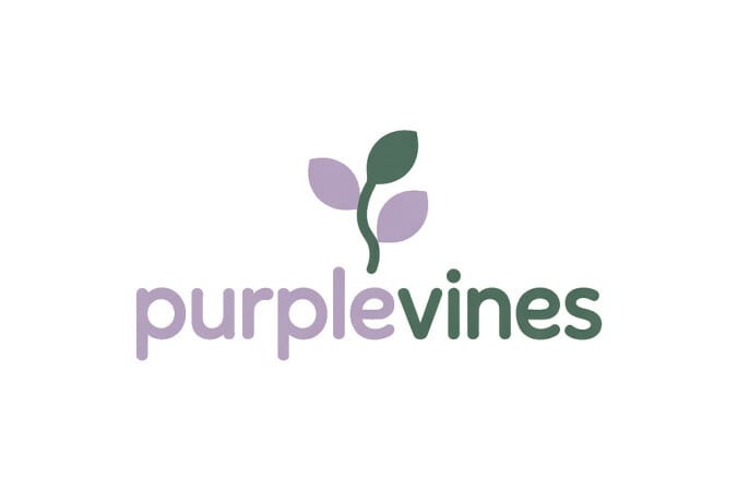 PurpleVines.com - buy Best premium domains