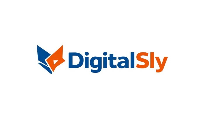 DigitalSly.com - Creative premium domain names