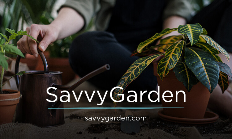 SavvyGarden.com - Good premium domains for sale