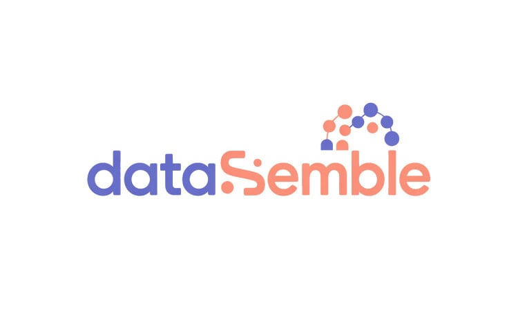 DataSemble logo