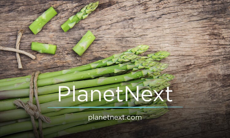 PlanetNext.com - Good premium names