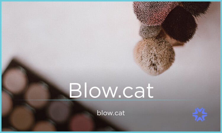 Blow logo