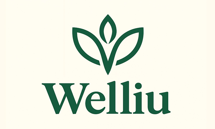 Welliu.com - Creative premium domain names