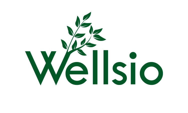 Wellsio.com - buy Good premium names