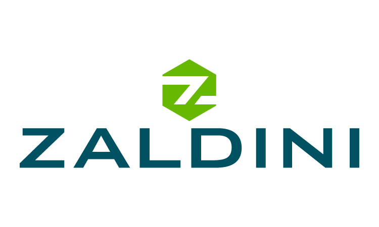 Zaldini.com - New premium domains for sale